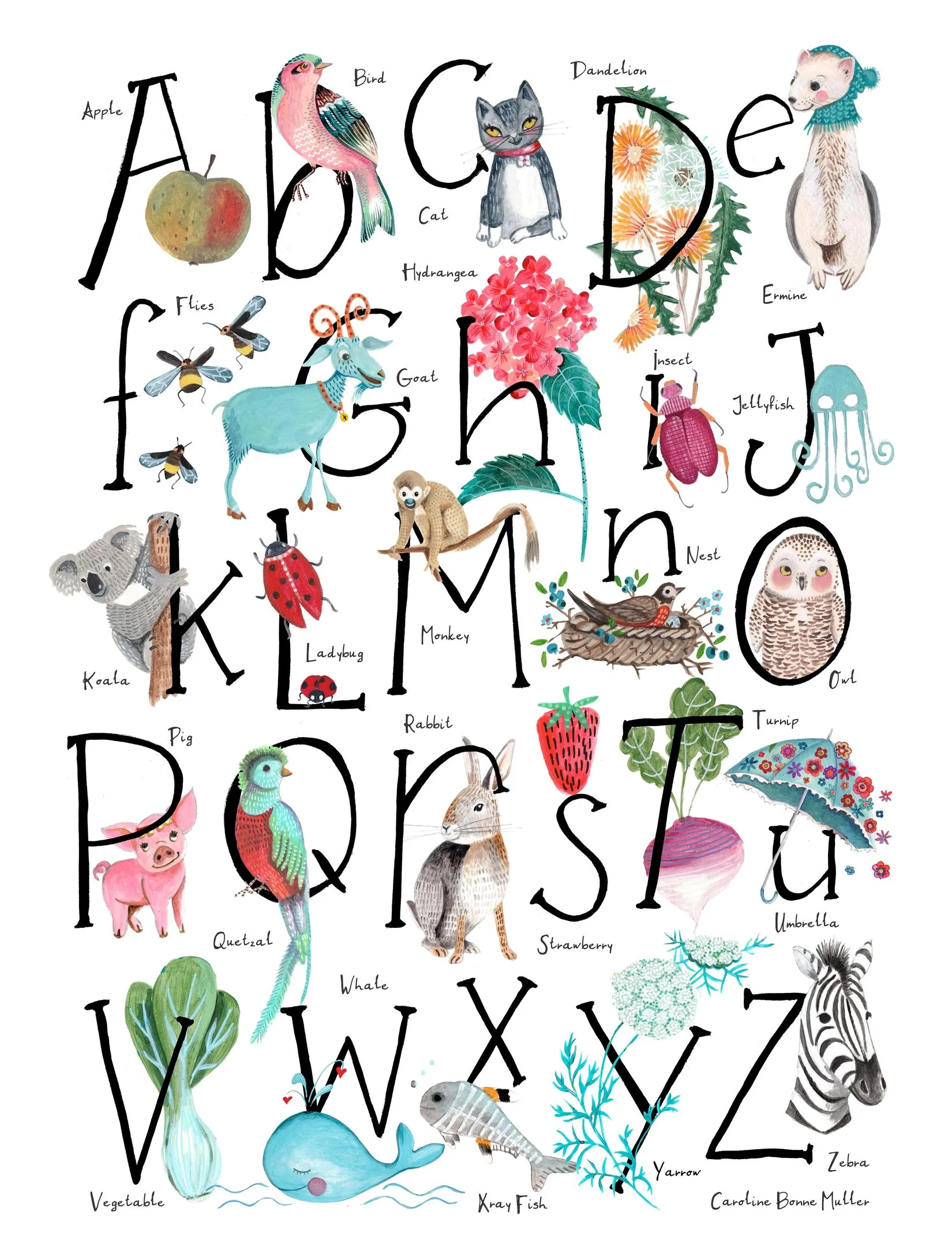 ABC Illustration Wall Mural