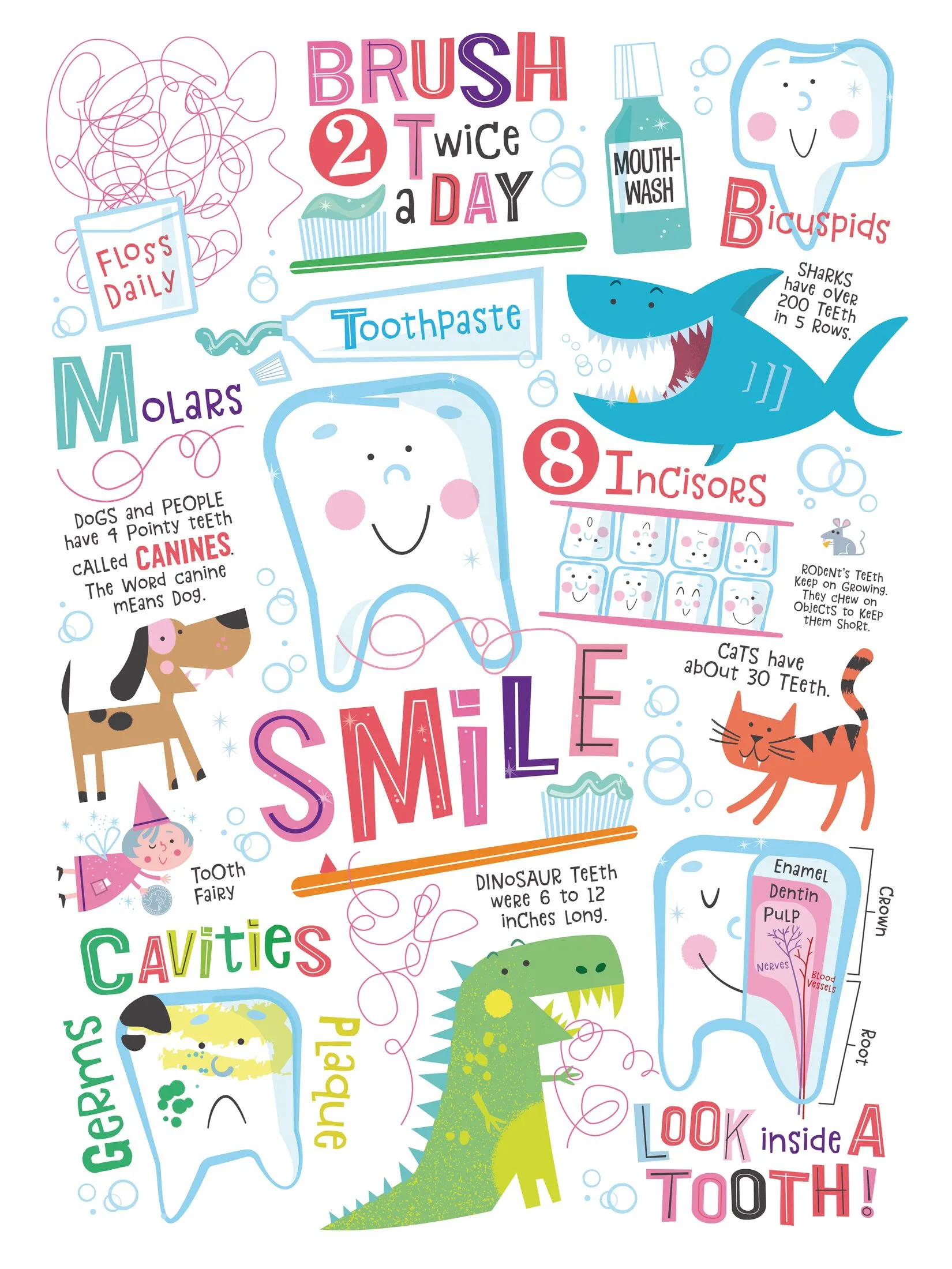 Dental Hygiene Pediatric Wall Mural
