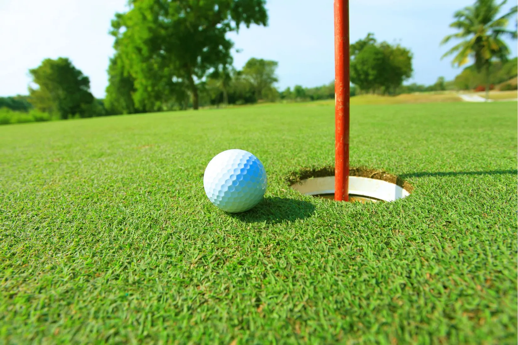 Golf Ball And Tee Wall Mural