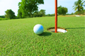 Golf Ball And Tee Wall Mural